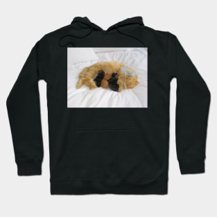 Mama Cat and her Kittens Hoodie